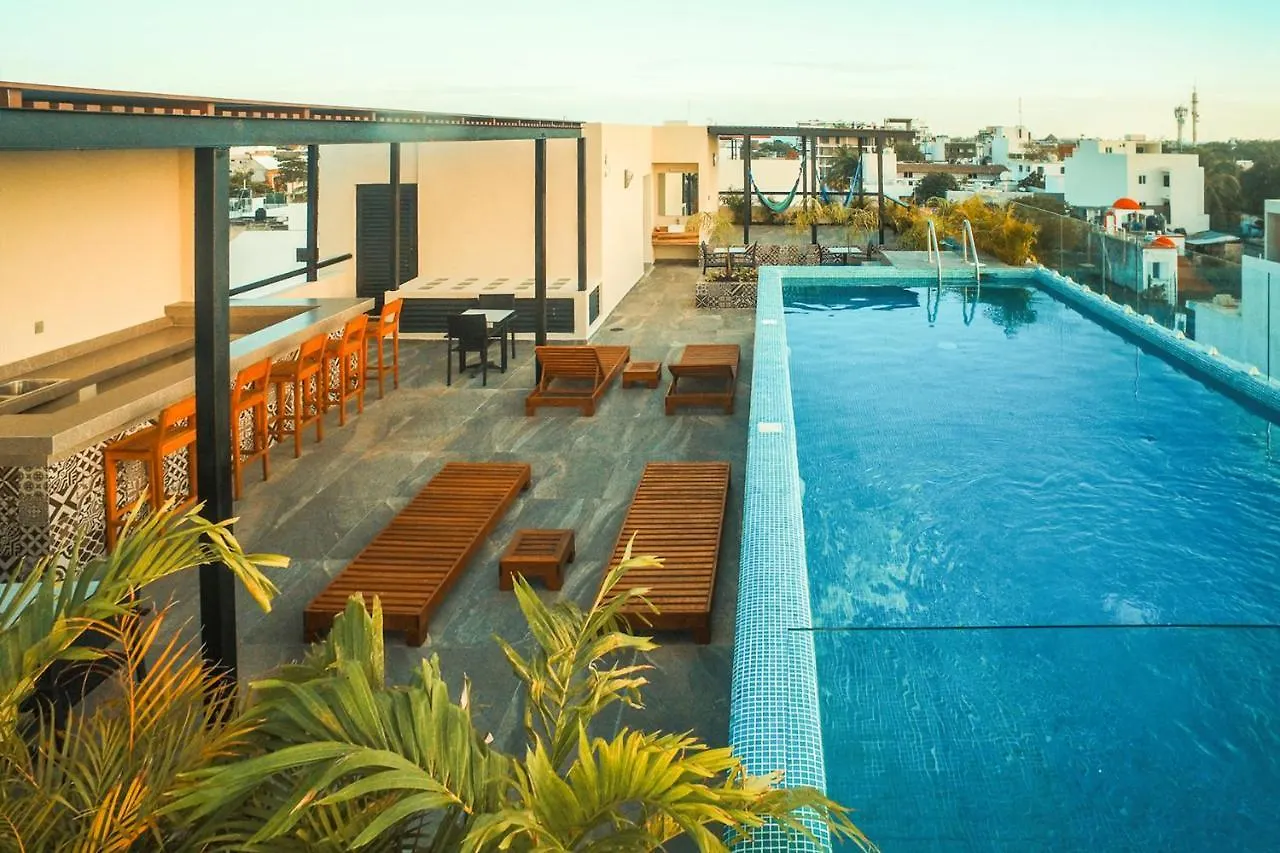 Playa 4020 Apartments With Rooftop Pool Near 5Th And Beach Πλάγια Ντελ Κάρμεν